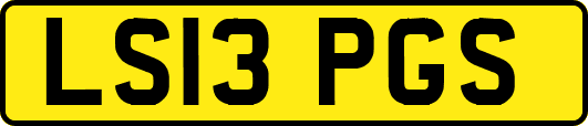 LS13PGS