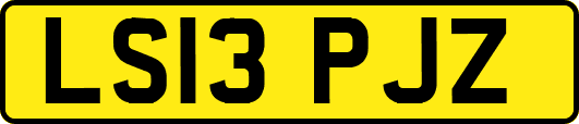 LS13PJZ