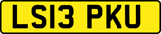 LS13PKU