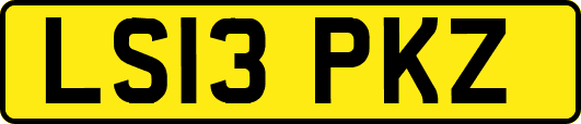 LS13PKZ