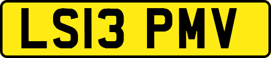 LS13PMV
