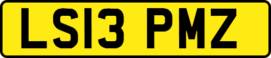LS13PMZ