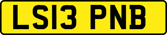 LS13PNB