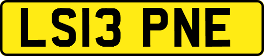 LS13PNE
