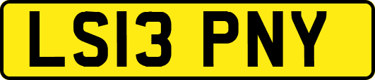 LS13PNY