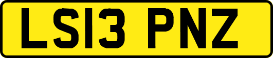 LS13PNZ