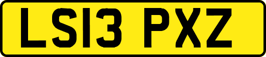 LS13PXZ