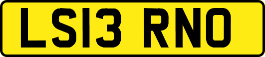 LS13RNO