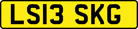LS13SKG