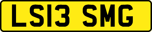 LS13SMG