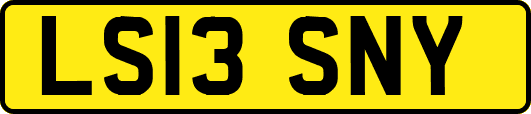 LS13SNY