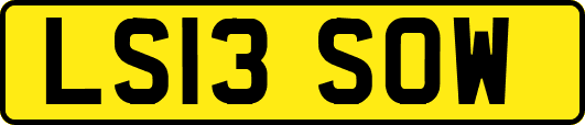 LS13SOW