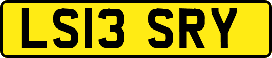 LS13SRY