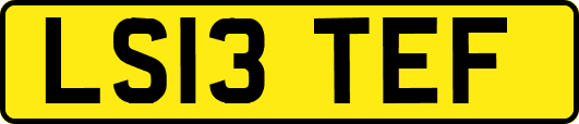 LS13TEF