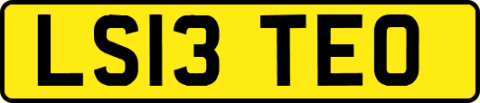 LS13TEO