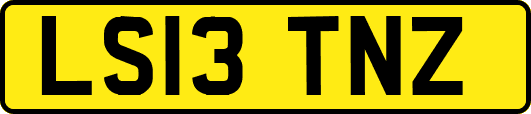 LS13TNZ