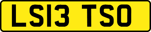 LS13TSO