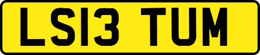 LS13TUM