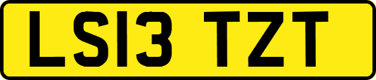 LS13TZT