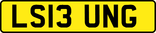 LS13UNG