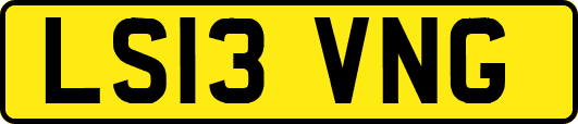 LS13VNG
