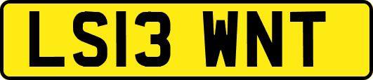 LS13WNT
