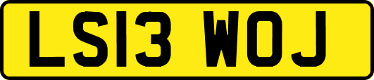 LS13WOJ