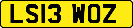 LS13WOZ