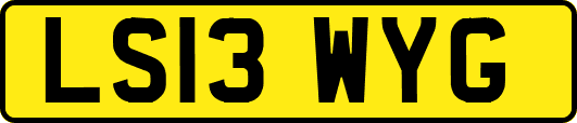 LS13WYG