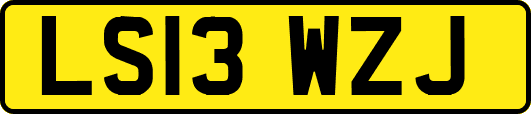 LS13WZJ