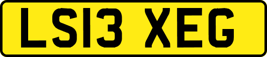 LS13XEG