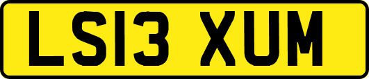 LS13XUM