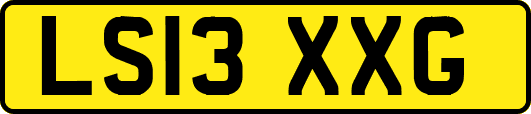 LS13XXG
