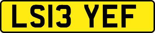 LS13YEF