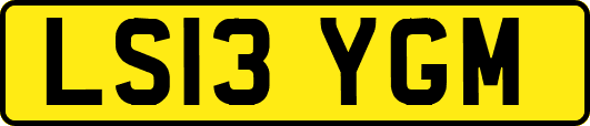 LS13YGM