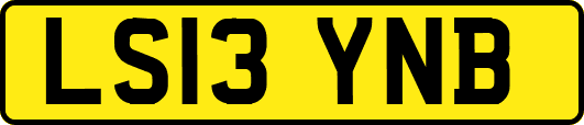 LS13YNB