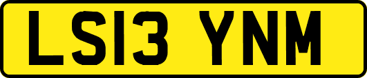 LS13YNM