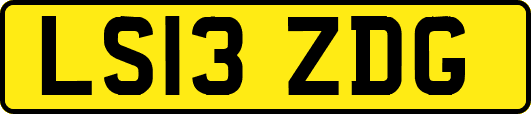 LS13ZDG