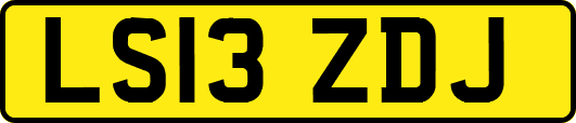 LS13ZDJ