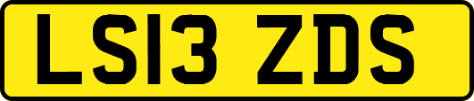 LS13ZDS