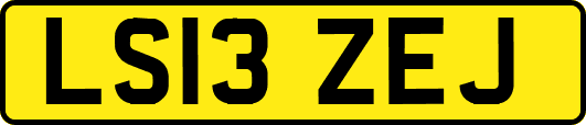 LS13ZEJ