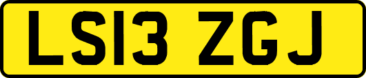 LS13ZGJ