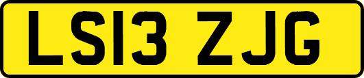 LS13ZJG