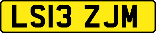 LS13ZJM