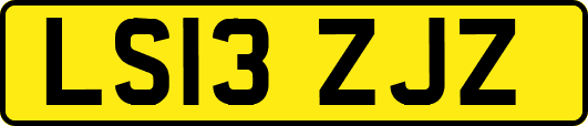 LS13ZJZ