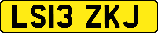 LS13ZKJ