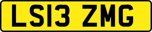 LS13ZMG
