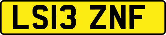 LS13ZNF