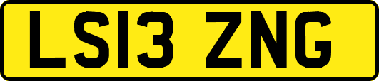 LS13ZNG