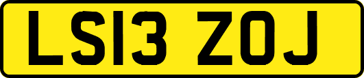 LS13ZOJ
